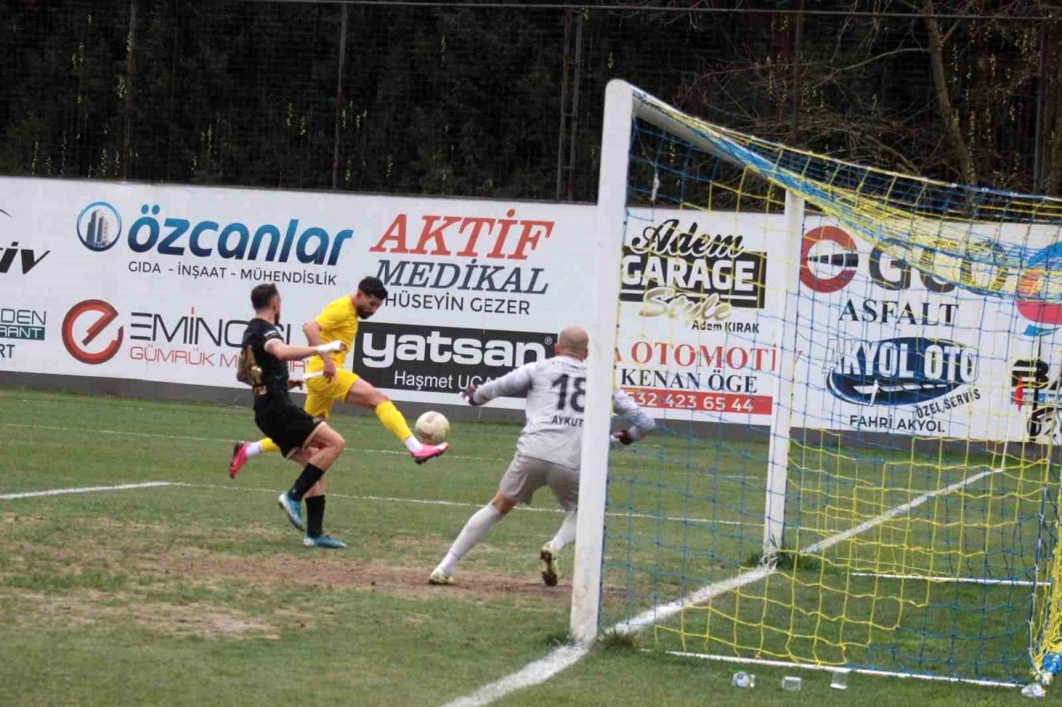 Belediye Derincespor, Amed Sportif Faaliyetler\'e 2-0 mağlup oldu