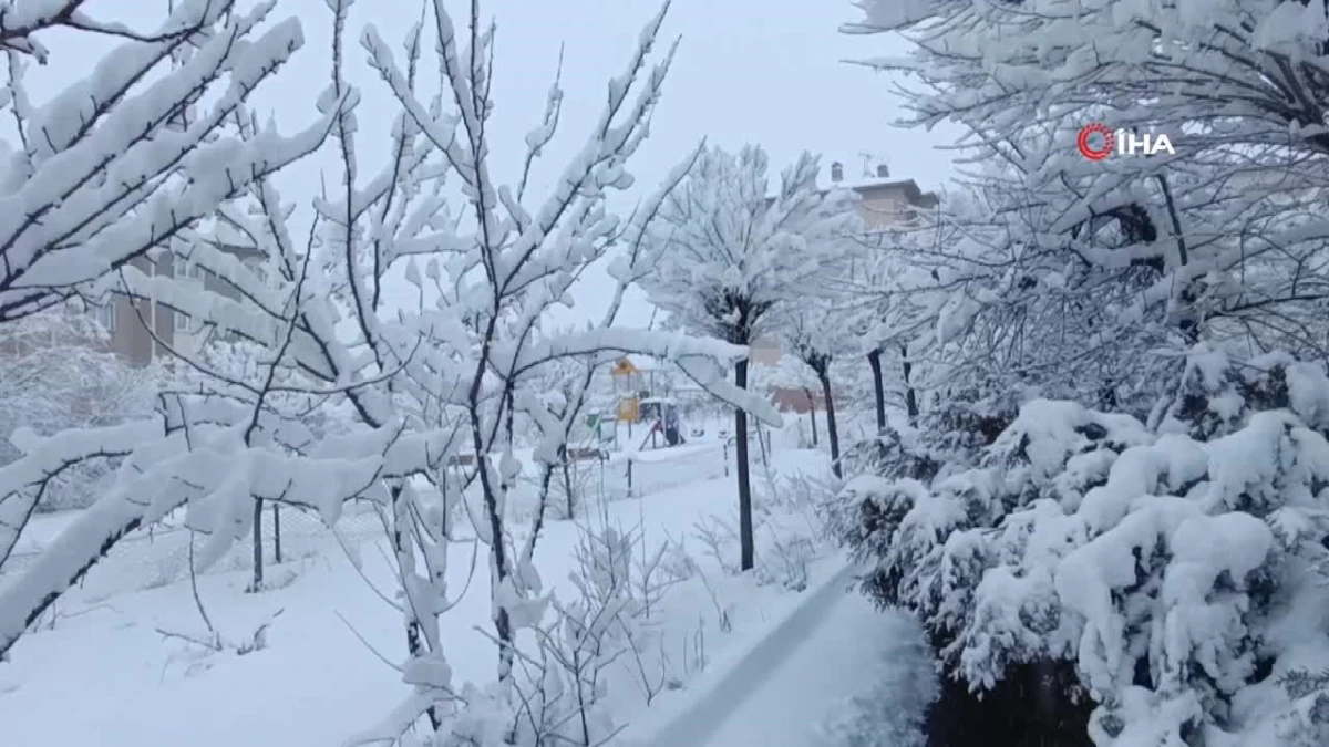 Van\'da kar yağışıyla birlikte 63 yerleşim yerinin yolu ulaşıma kapanırken, meteoroloji çığ uyarısında bulundu
