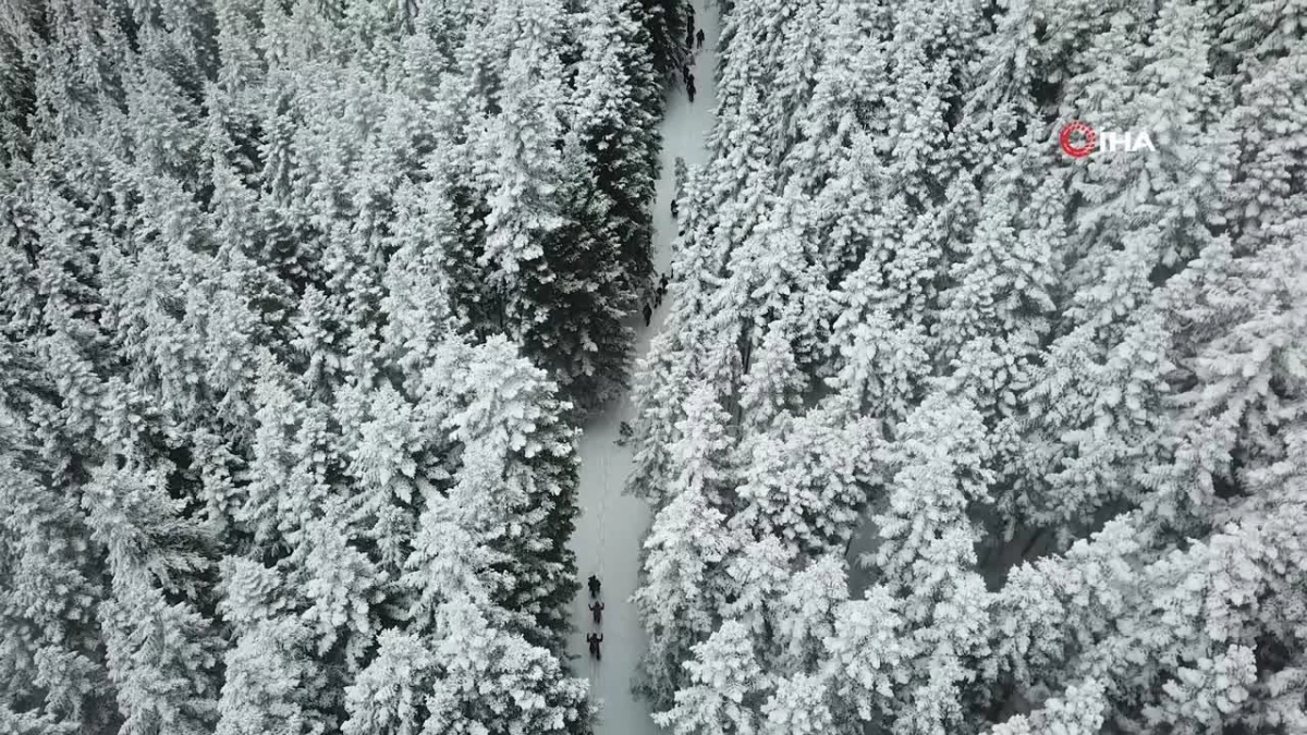 Kar altında mest eden güzellik: Gümüşhane-Şiran sınırındaki Tersun Dağı\'nda doğa yürüyüşü