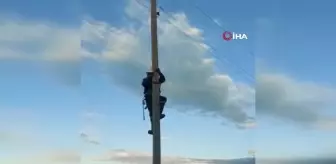 Kars'ta direkte mahsur kalan kedi kurtarıldı