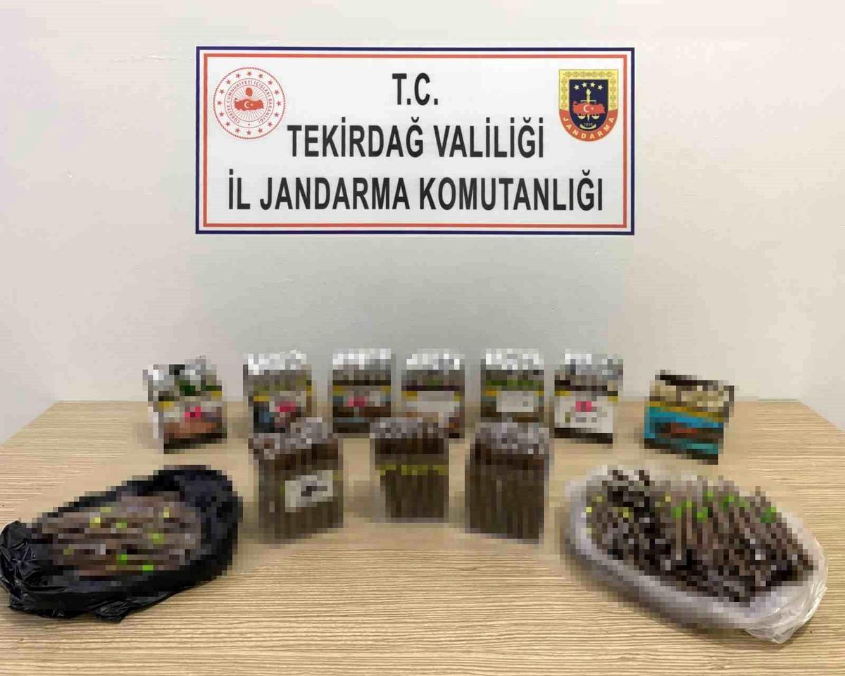 Tekirdağ\'da Bandrolsüz Sigara Bulunduran İşletmeye Yüksek Cezai İşlem