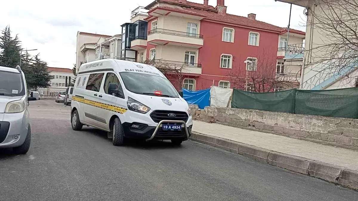 Çorum\'da ağaç budamak için merdivenden düşen yaşlı adam hayatını kaybetti