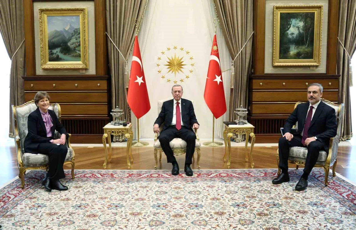 Cumhurbaşkanı Erdoğan, ABD\'li Senatör Jeanne Shaheen\'i kabul etti