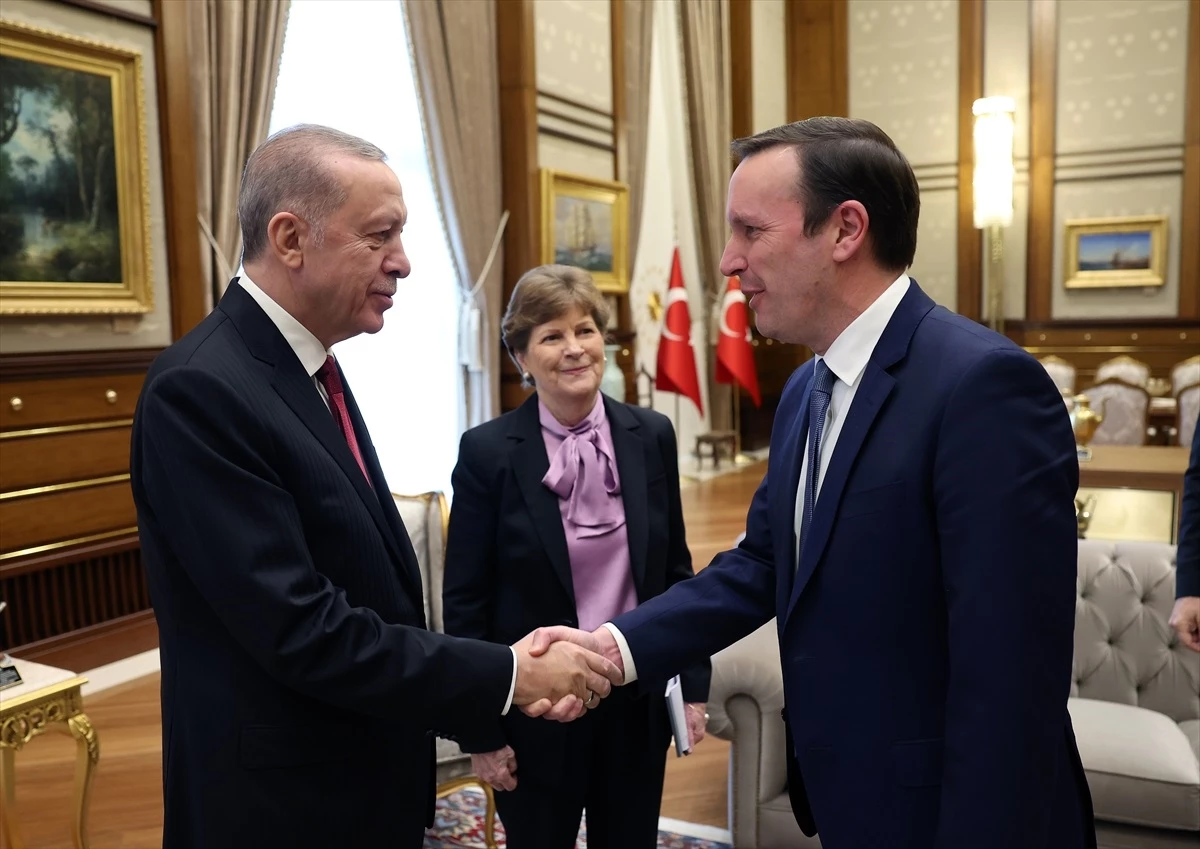 Cumhurbaşkanı Erdoğan, ABD\'li Senatör Shaheen\'i kabul etti