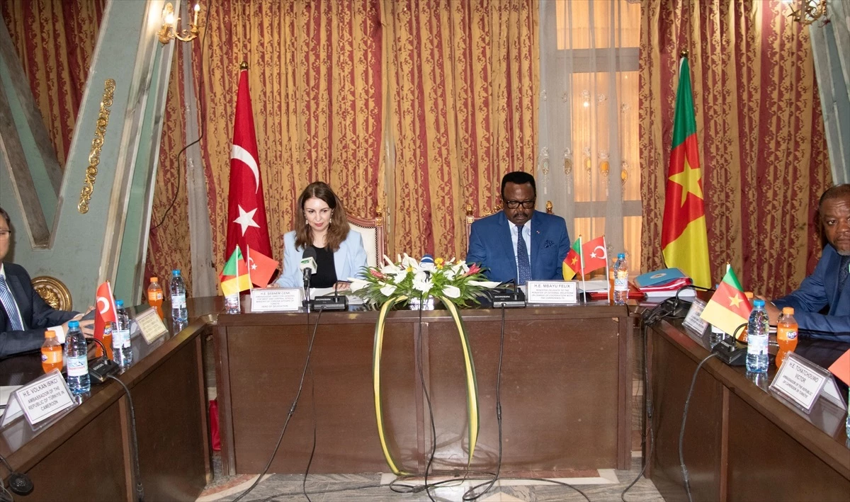 Türkiye ile Kamerun arasında ikili siyasi istişareler gerçekleştirildi