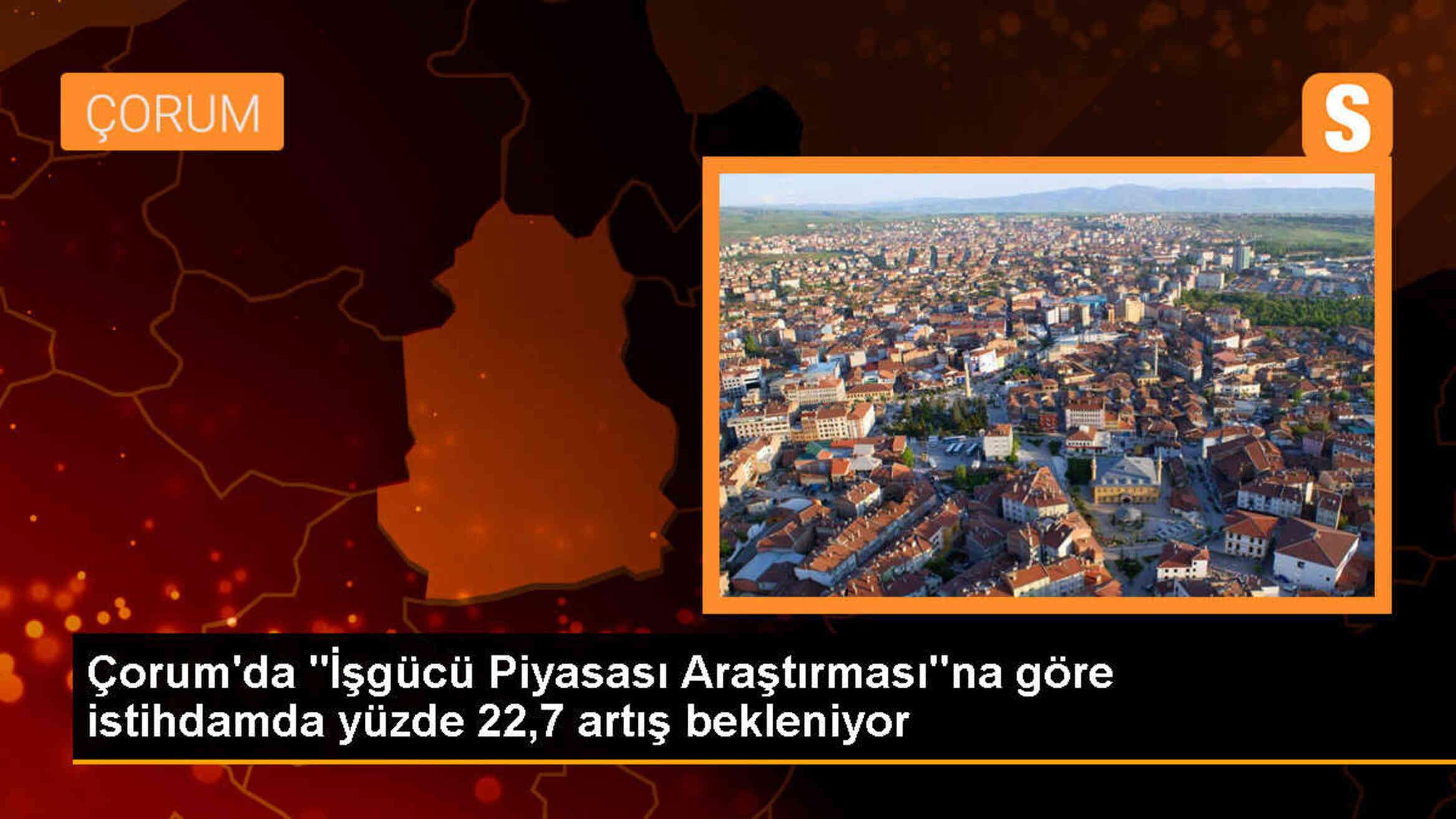 Çorum\'da İstihdamın Temmuz Ayına Kadar Yüzde 22,7 Artması Öngörülüyor