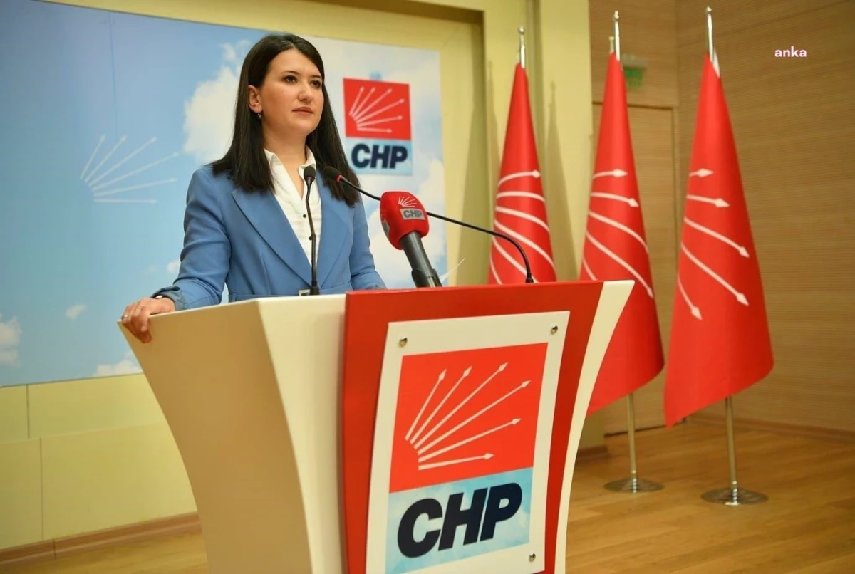 CHP Genel Başkan Yardımcısı Gökçe Gökçen, yeni yargı paketini eleştirdi