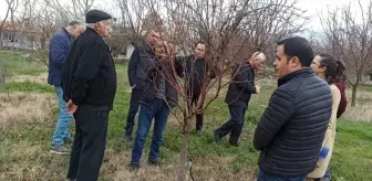 Malatya Kale'de çiftçilere kayısı yetiştiriciliği ve zirai mücadele eğitimi verildi