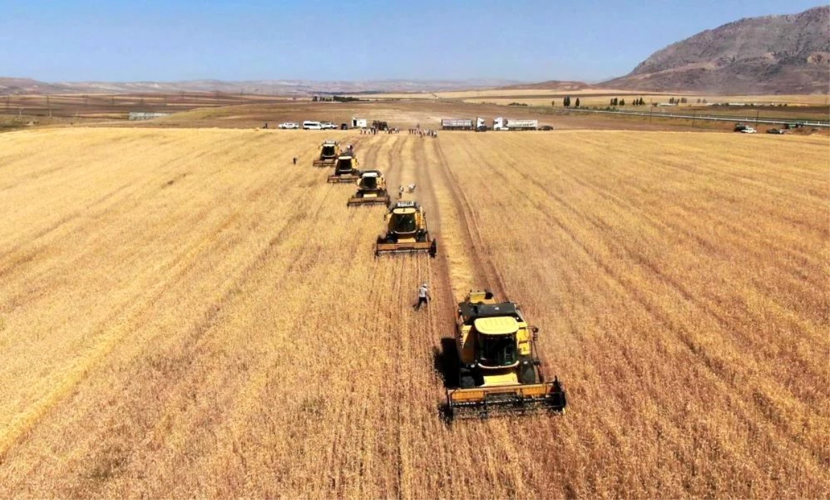 Tarımsal Girdi Fiyat Endeksi Aralık Ayında Yüzde 41,43 Arttı