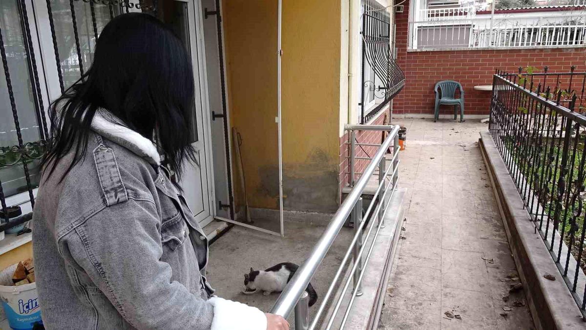 Tavşanlı\'da kayıp kedi 10 gün sonra bulundu