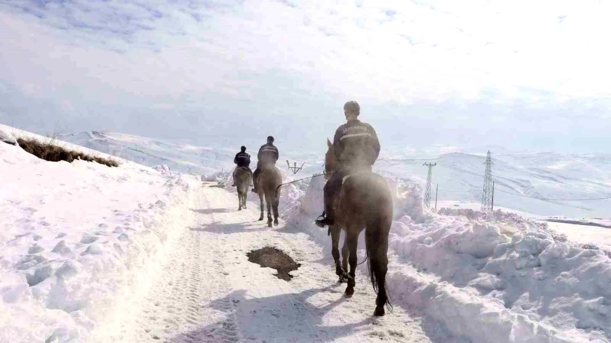 Van İl Jandarma Komutanlığı Atlı Birlikleri Sınırda Devriye Faaliyetleri Yürütüyor