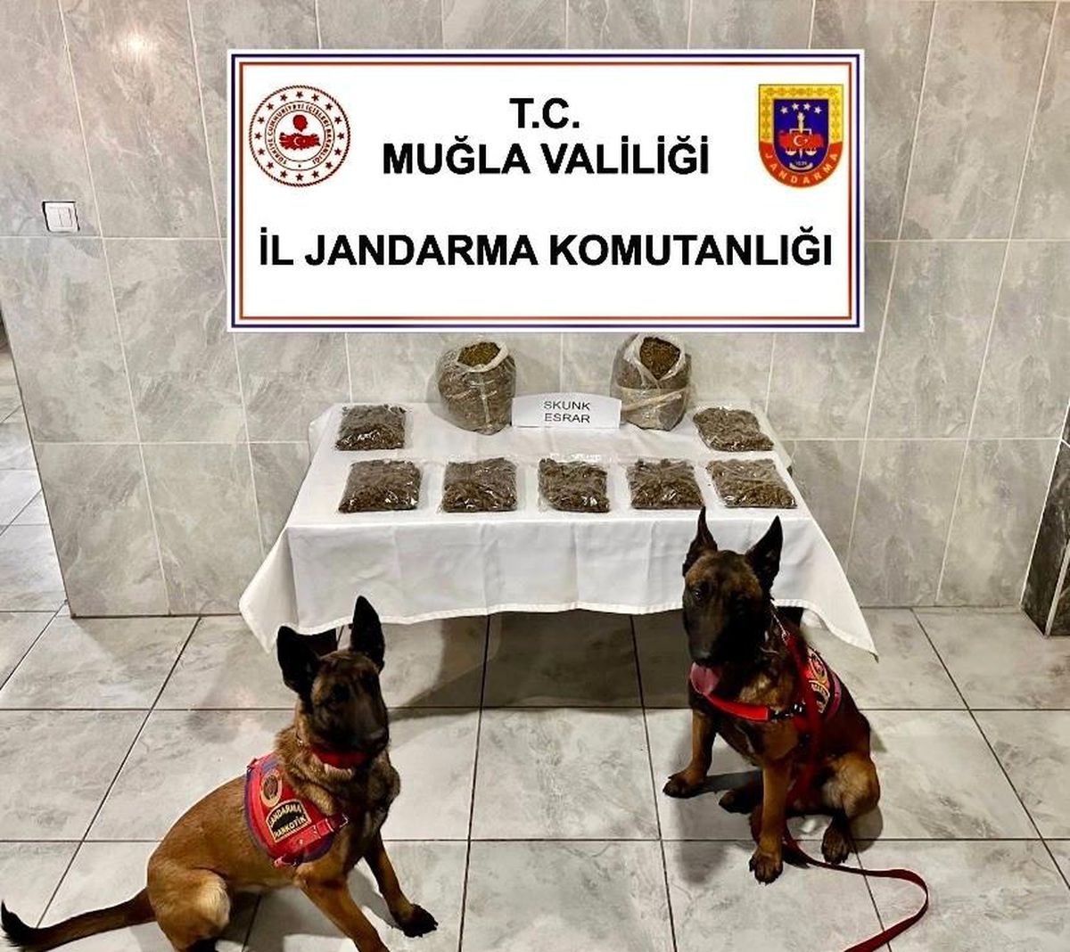 Muğla\'da yapılan uyuşturucu operasyonunda 1 kişi yakalandı