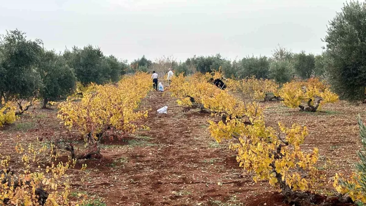 Adıyaman Üniversitesi\'nin Organomineral Gübre Projesi Desteklenmeye Değer Görüldü