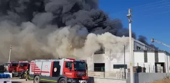 İzmir Selçuk'ta narenciye deposunda çıkan yangın kontrol altına alındı