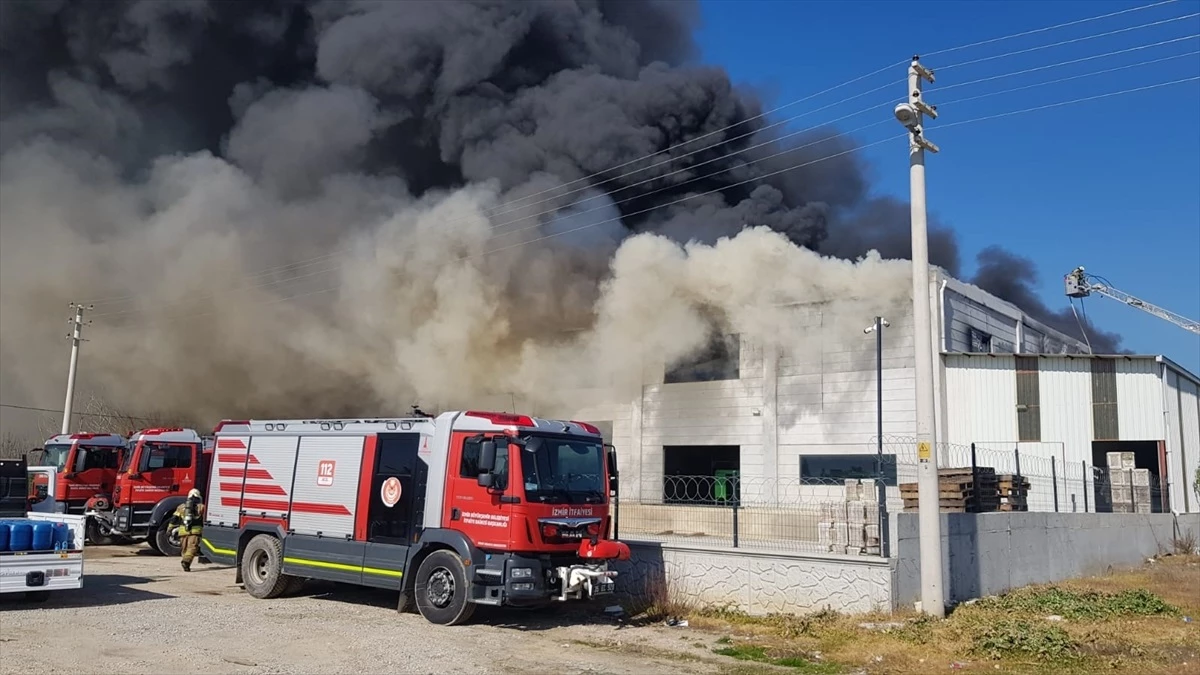 İzmir Selçuk\'ta narenciye deposunda çıkan yangın kontrol altına alındı