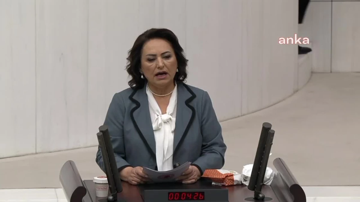 CHP Milletvekili Şevkin: İliç\'teki olay heyelan değil, ihmaller zinciri sonucu akmasıdır