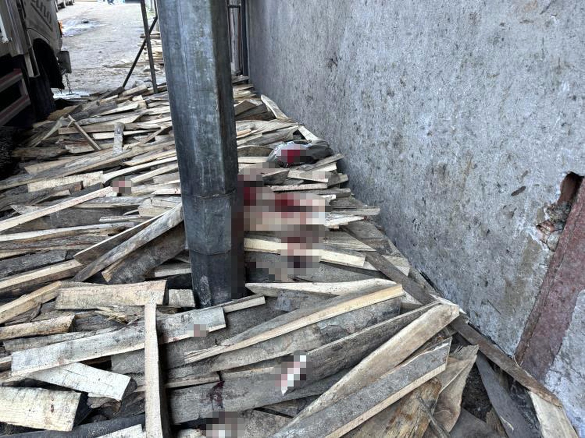 Zonguldak\'ta kamyonetin çarptığı 15 yaşındaki Yasin D. hayatını kaybetti