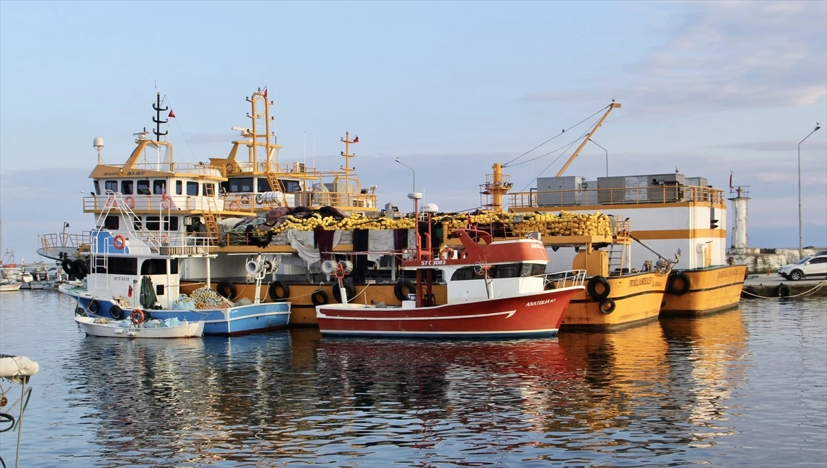 Karadeniz\'deki balık avı sezonu küresel iklim değişikliği nedeniyle kısalıyor