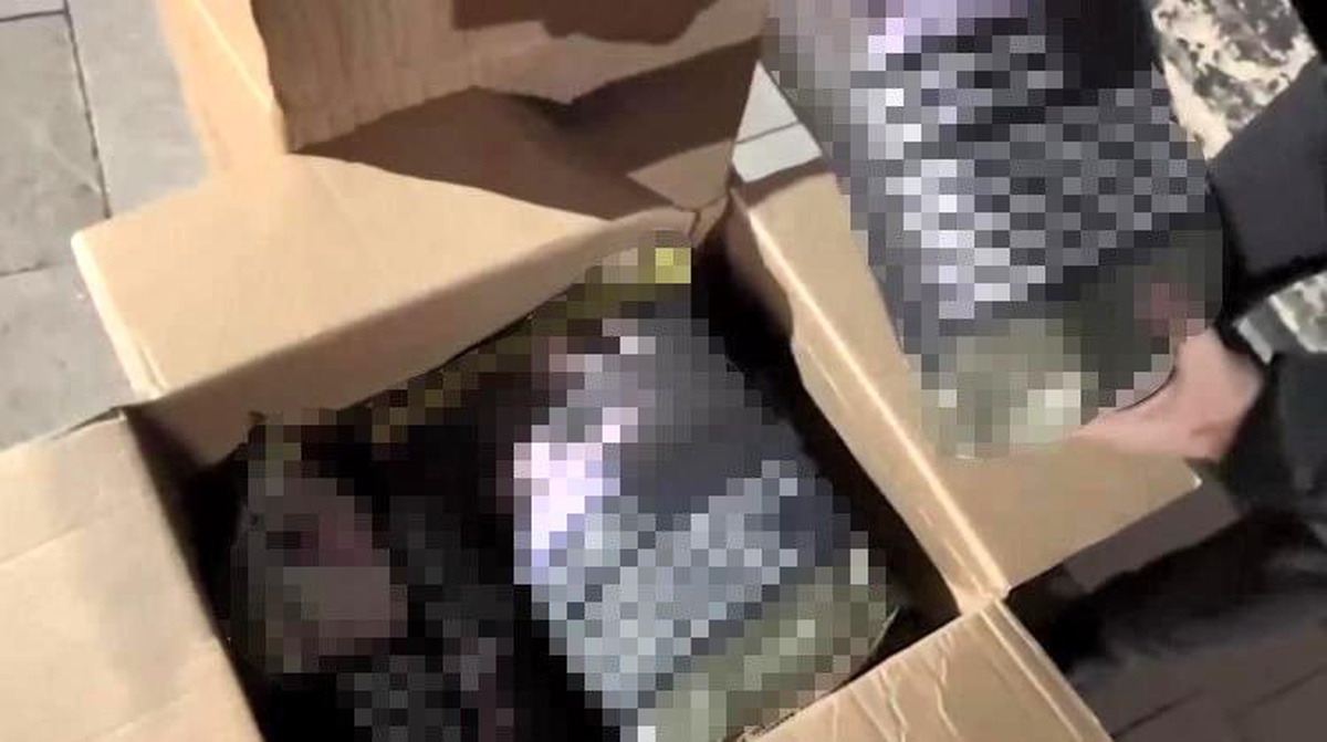 Ordu\'da 1 ton kıyılmış tütün ve 7,5 milyon boş makaron ele geçirildi