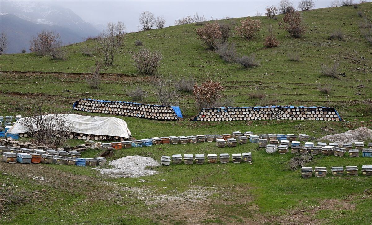 Bitlis Balı, Paris\'te Uluslararası Bal Yarışması\'nda Altın Bal Ödülü Aldı