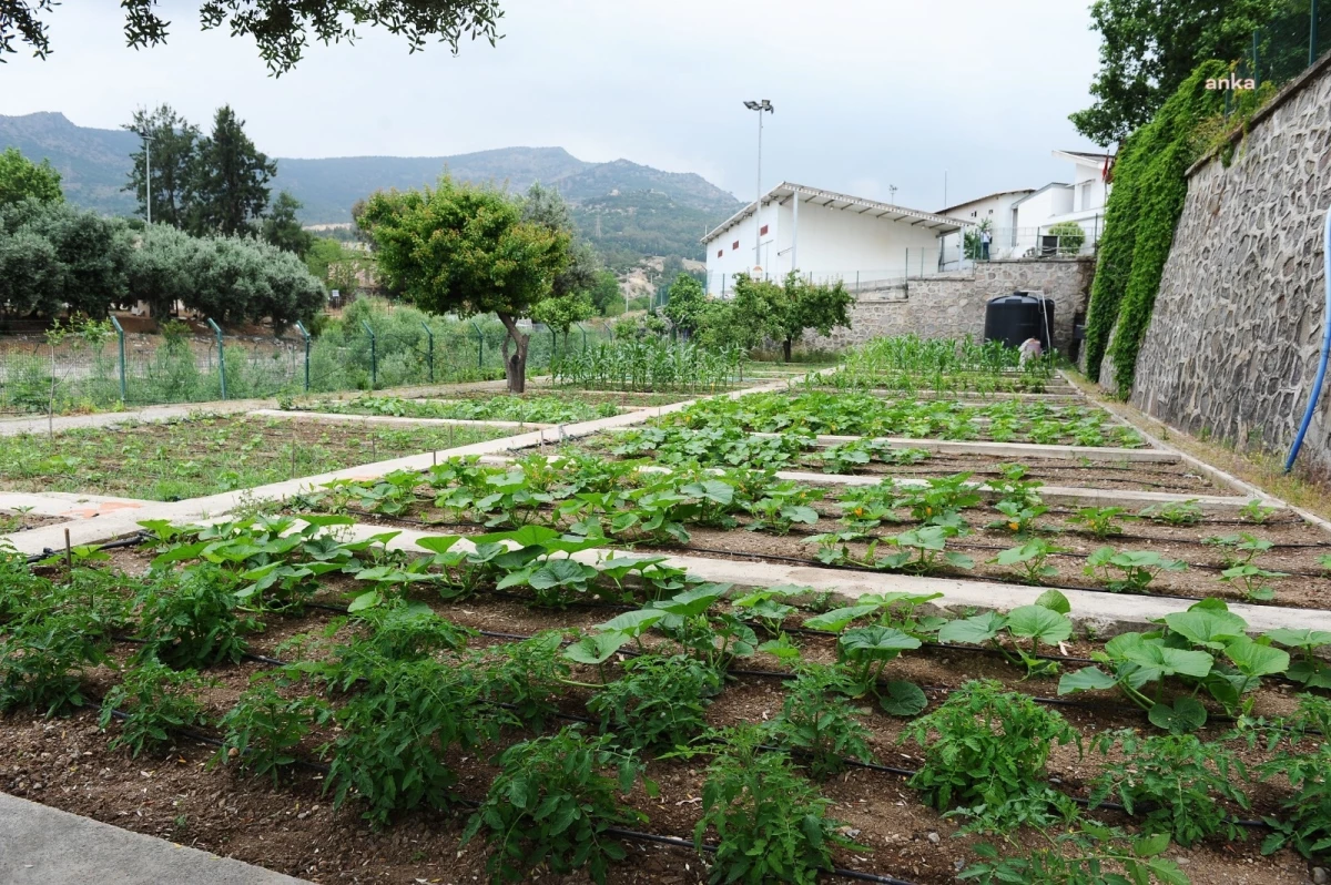 Karşıyaka Belediyesi, kent içi tarımı yaygınlaştırmak için yeni bir bostan daha kazandırdı