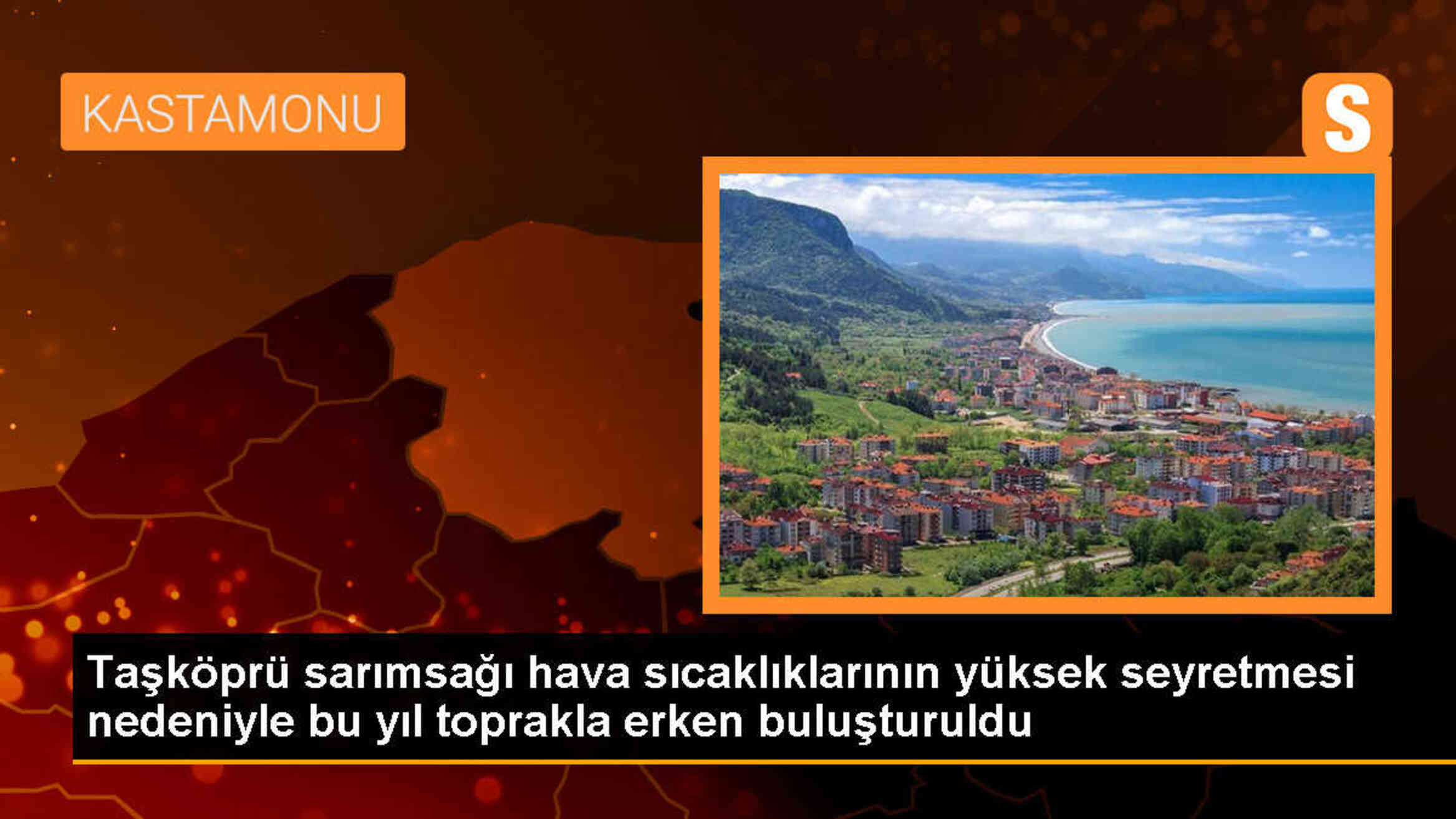 Taşköprü\'de Sarımsak Ekimi Bu Yıl Erken Başladı