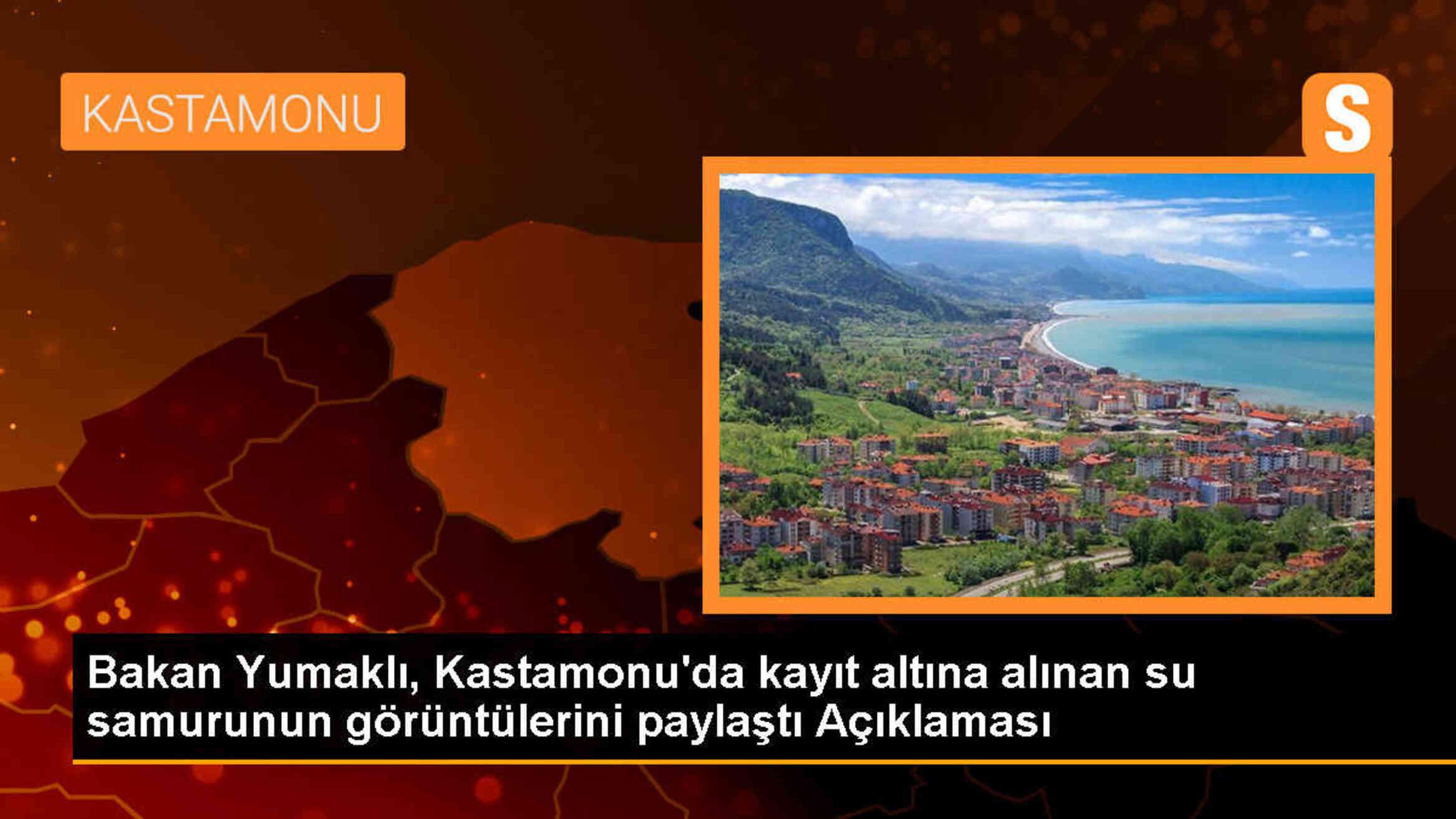 Kastamonu\'da Görüntülenen Su Samuru Koruma Altına Alındı