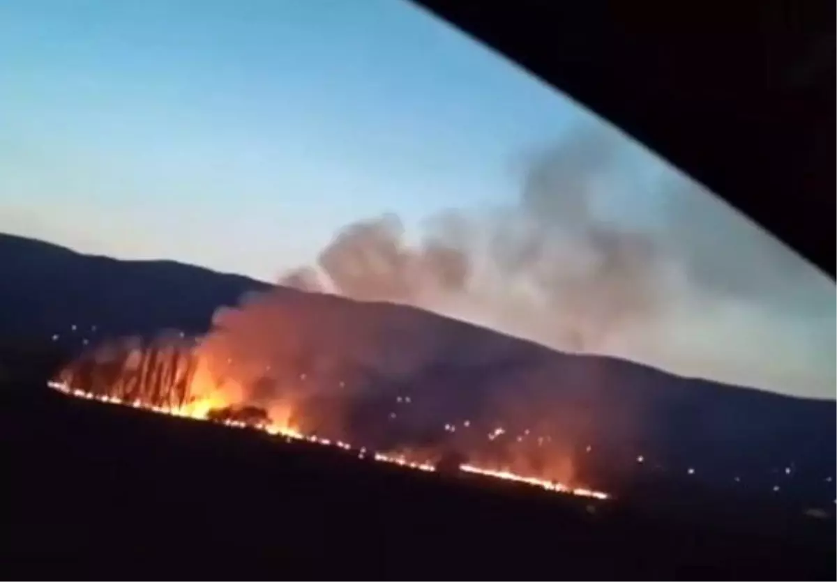 Çankırı\'nın Eldivan ilçesinde çıkan arazi yangını itfaiye ekipleri tarafından söndürüldü