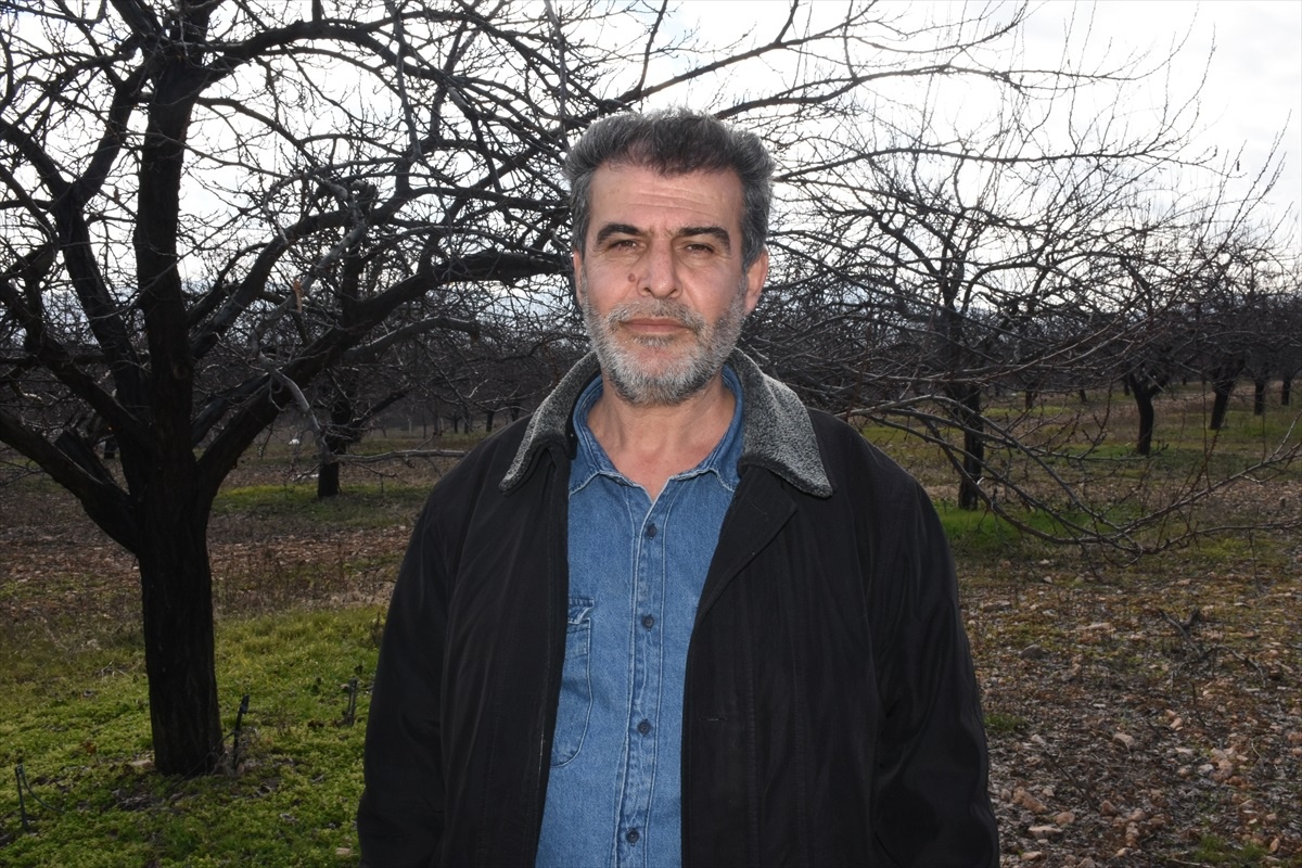 Malatya Kayısı Üreticileri Destek Talebinde Bulundu