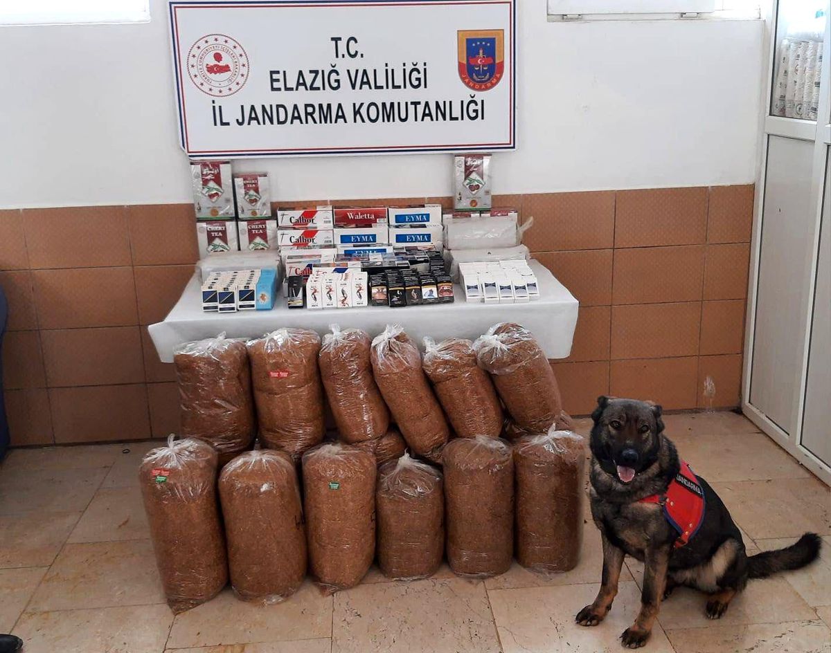 Elazığ\'da jandarma ekipleri 150 kilo kaçak tütün ele geçirdi