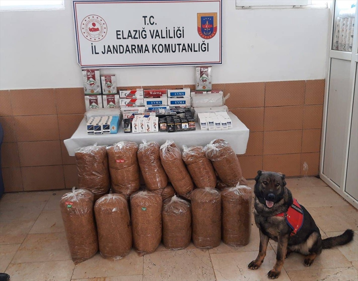 Elazığ\'da Gümrük Kaçağı 150 Kilogram Tütün Ele Geçirildi