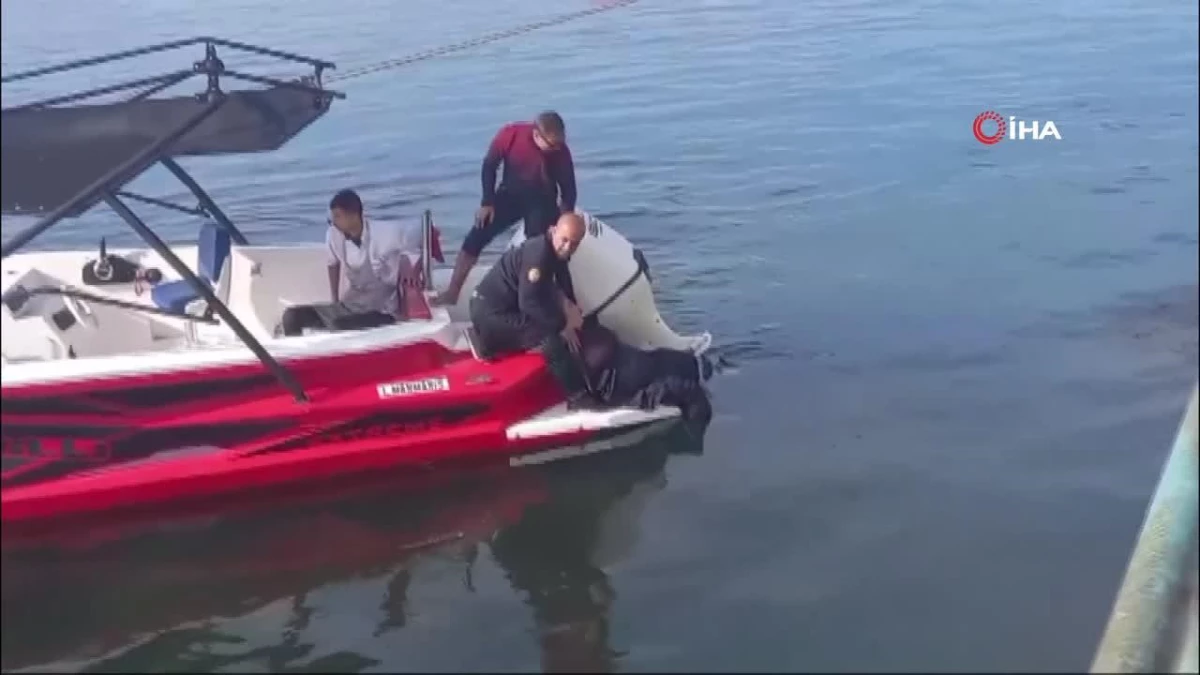 Fırat Nehri\'ne atlayan kadını vatandaşlar kurtardı