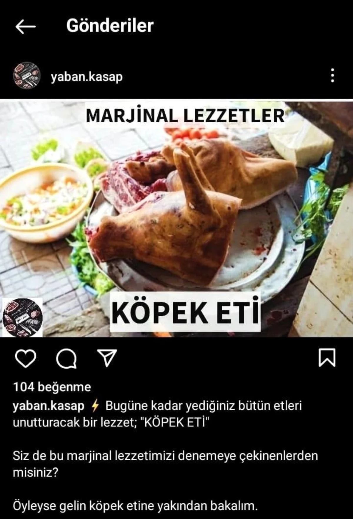 Sosyal medyada Bursa\'da köpek eti satışı iddiası gerçek dışı çıktı