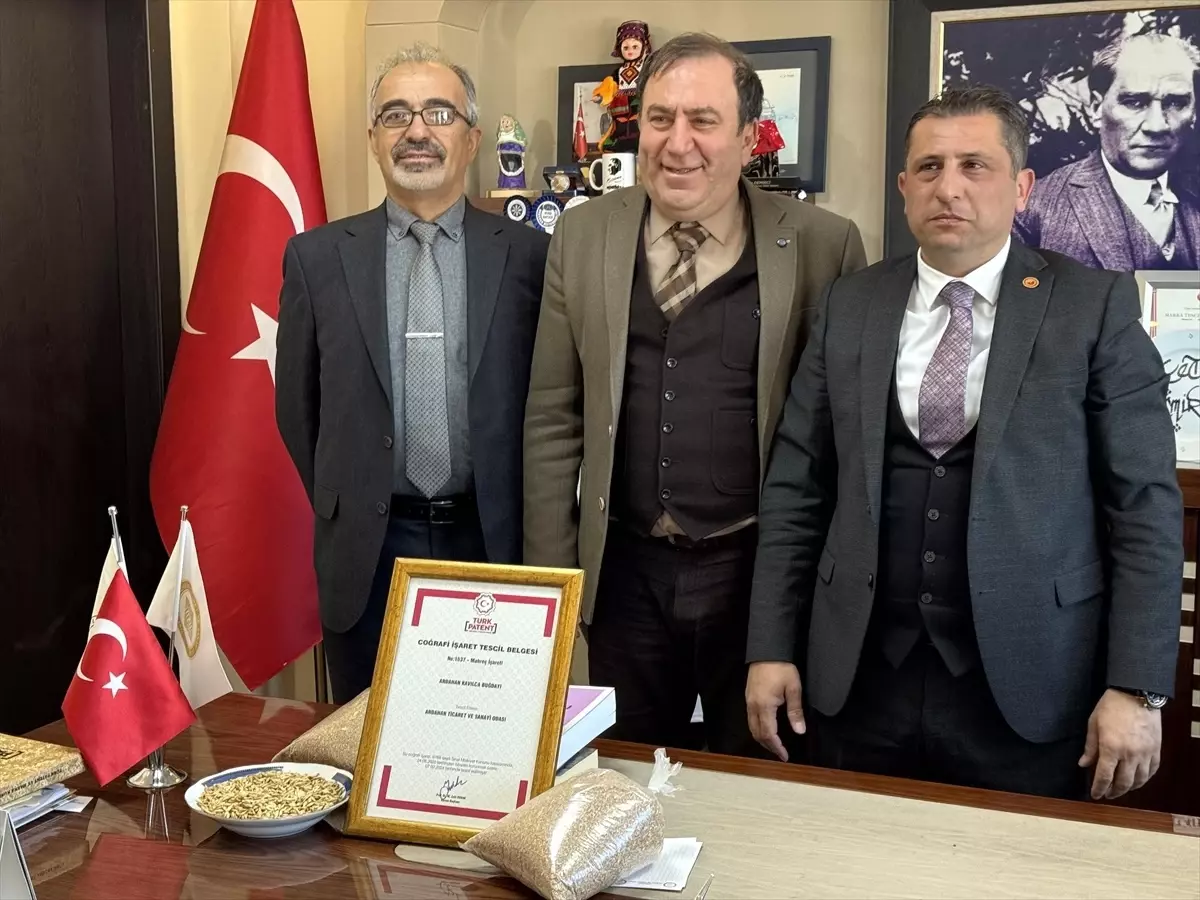 Ardahan\'ın ata buğdayı kavılca, Türk Patent ve Marka Kurumundan coğrafi işaret tescili aldı