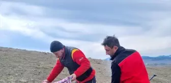 Bolu'nun Dörtdivan ilçesinde yaralı bulunan şahin tedavi edildi