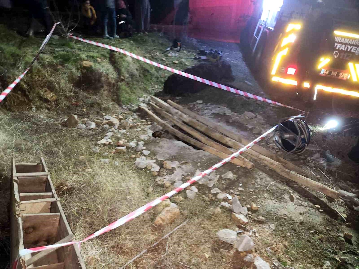 Kahramanmaraş\'ta Kaybolan Eşek Foseptik Çukurdan Kurtarıldı