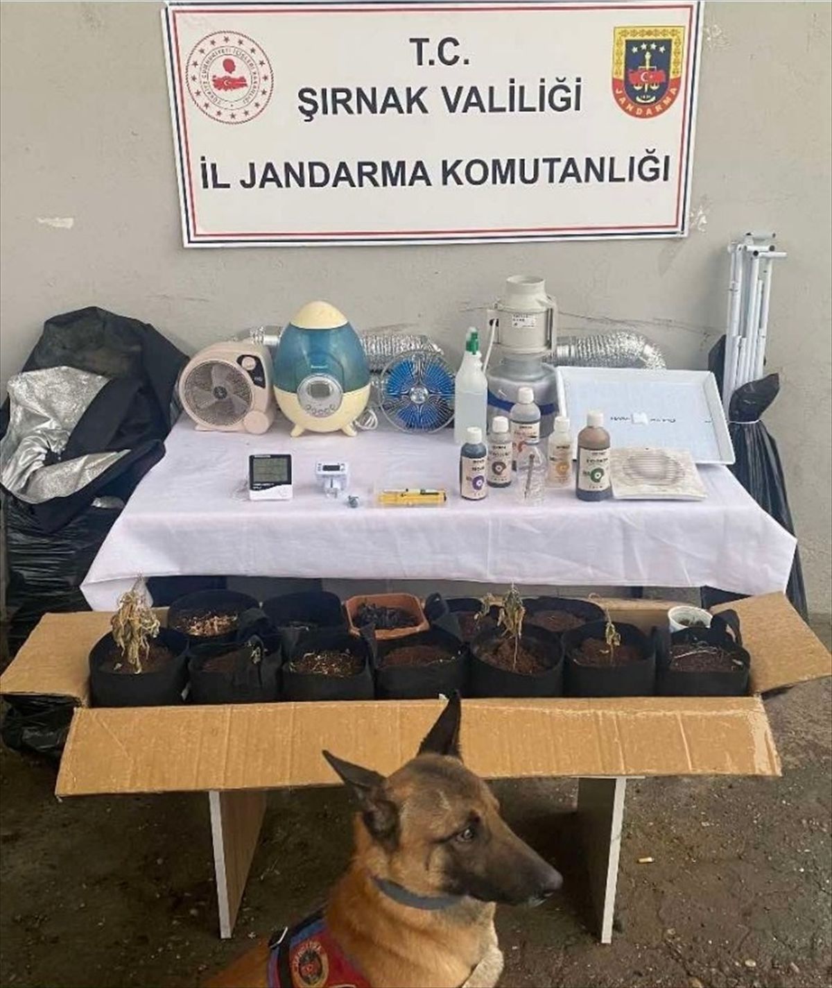 Şırnak\'ta yapılan operasyonda 3 şüpheli tutuklandı