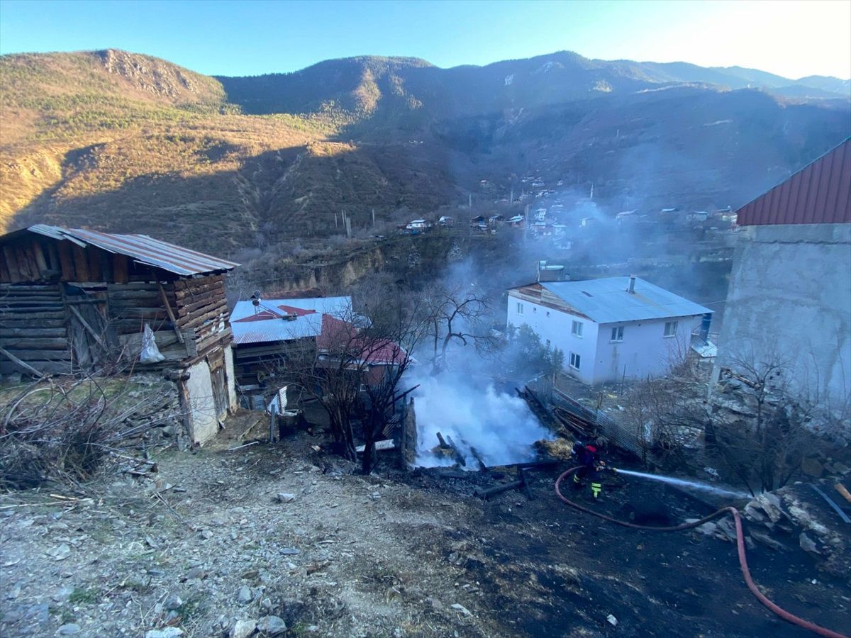 Artvin\'de çıkan yangında ahır ve samanlık zarar gördü