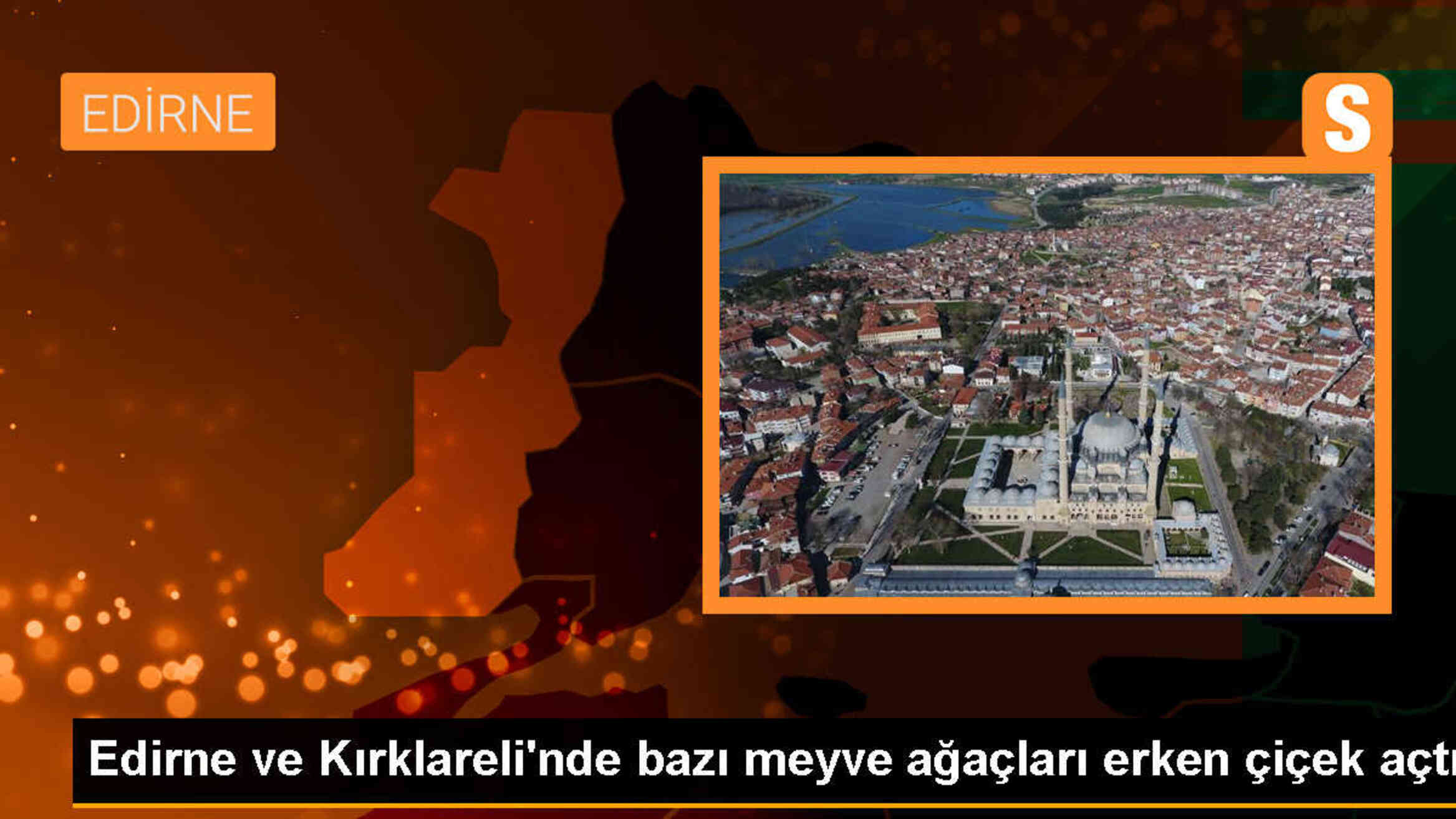 Edirne ve Kırklareli\'nde Meyve Ağaçları Erken Çiçek Açtı