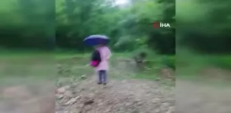 Bartın'da Derme Çatma Köprüyle Evlere Ulaşım Zorluğu