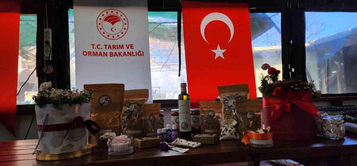 Çanakkale\'de Kadın Çiftçilere Kuşkonmaz ve Mantar Yetiştiriciliği Eğitimi Verildi
