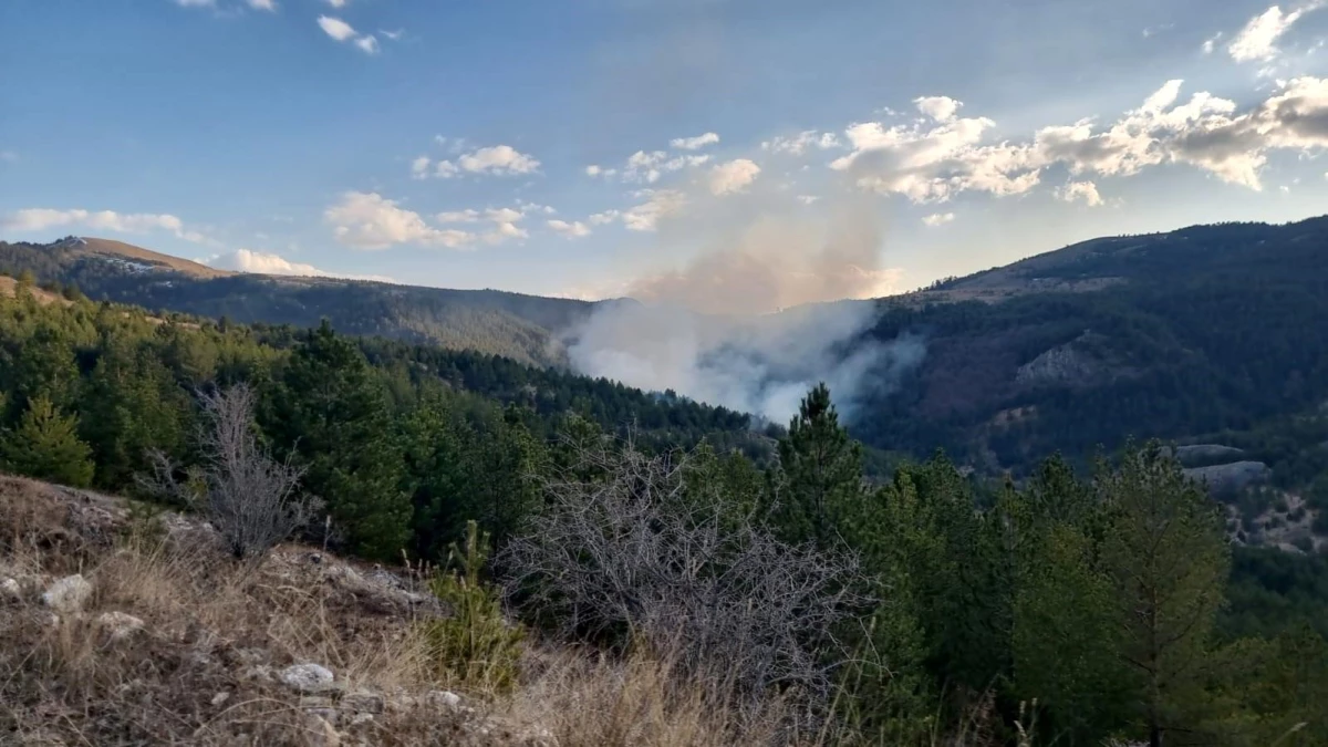 Kastamonu\'da Ormanlık Alanda Çıkan Yangınlar Kontrol Altına Alındı