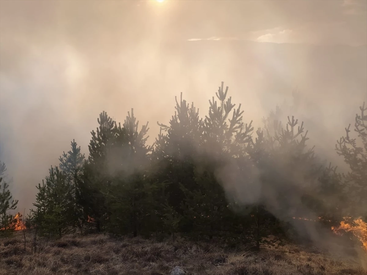 Kastamonu Taşköprü\'de çıkan orman yangını kontrol altına alındı