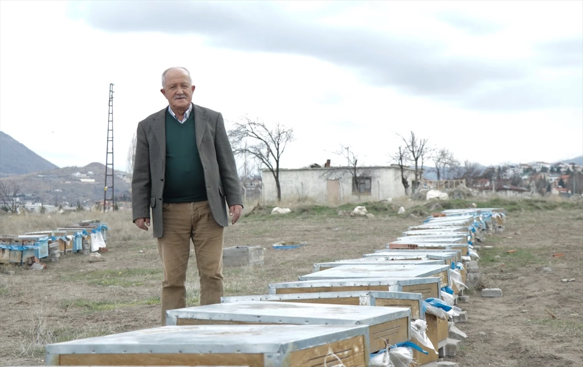 Polen Kıtlığı ve Hastalıklar Nedeniyle Arı Kovanlarında Kayıplar Yaşanıyor