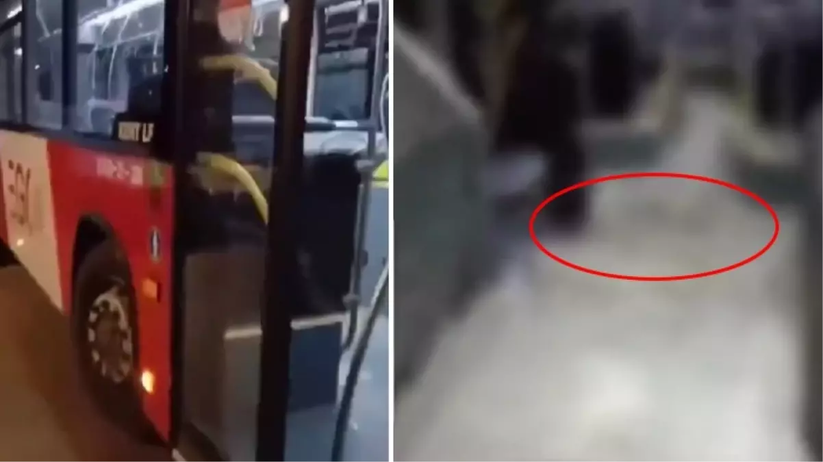 Skandal g�r�nt�! Ankara'da bir �ah�s bindi�i otob�se b�y�k tuvaletini yapt�