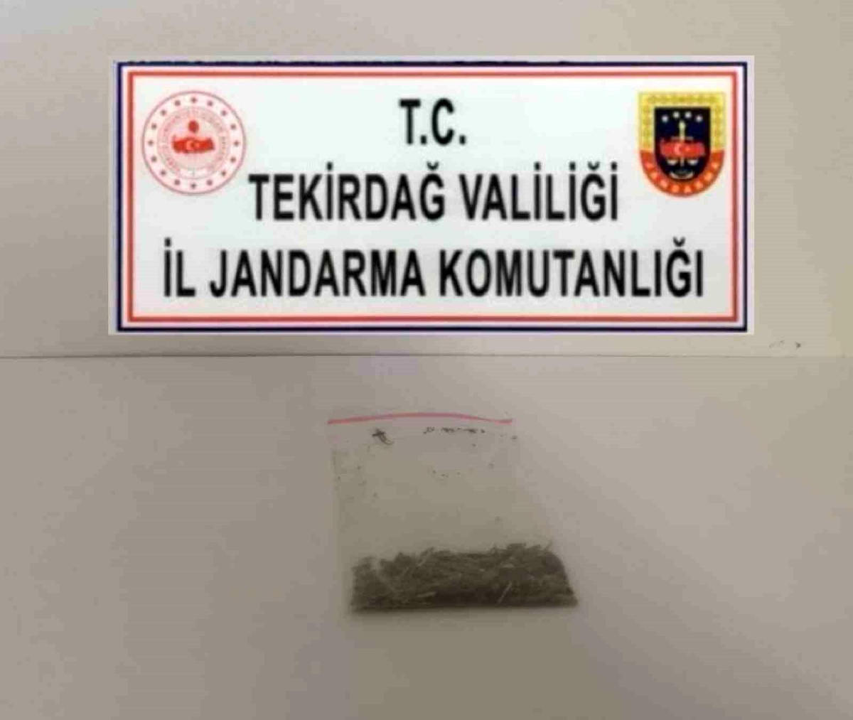 Tekirdağ\'da yapılan operasyonda 11 şüpheli uyuşturucudan yakalandı