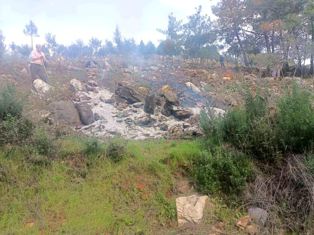 Muğla\'da Hazine Arazisinde Ağaçları Yakıp Tahrip Eden Şahıslar Suçüstü Yakalandı