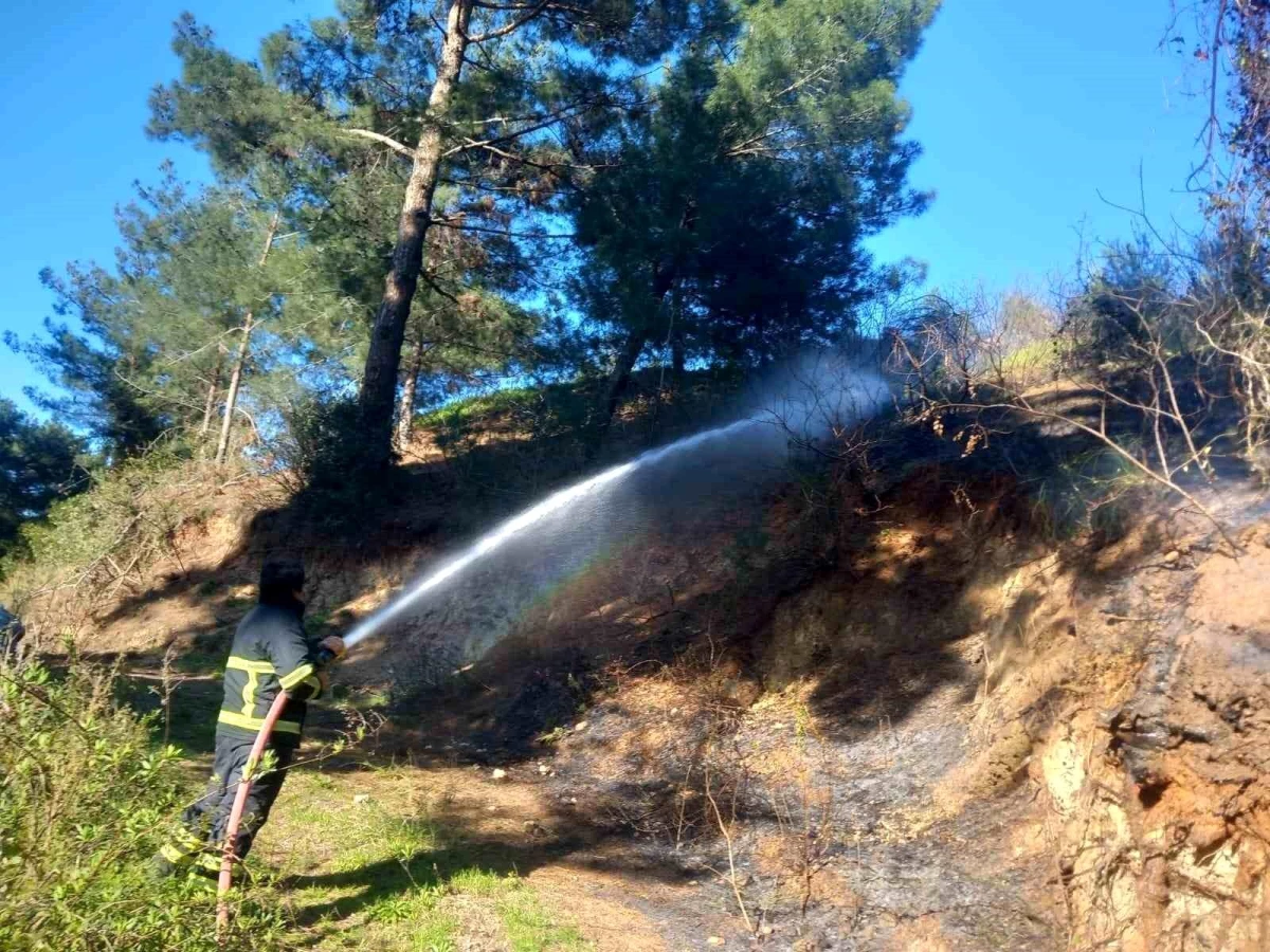 Hatay\'ın Belen ilçesinde orman yangını kontrol altına alındı