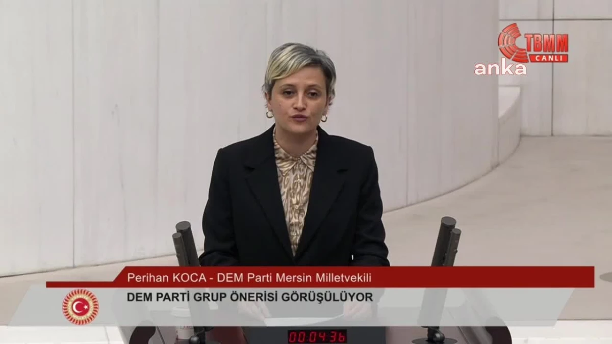 DEM Partisi Milletvekili Perihan Koca, AKP Milletvekili Fatma Öncü\'ye el hareketi yaptı iddiası