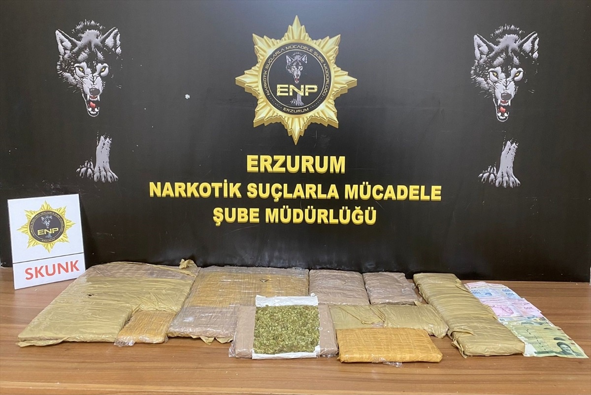 Erzurum\'da 8 kilo 25 gram skunk ve döviz ele geçirilen şüpheli tutuklandı